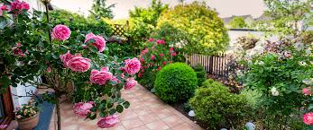 Best flowering shrubs for landscaping. Best Flowering Shrubs For Quad Cities Landscapes Meyer Landscape