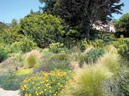 Pacific Horticulture