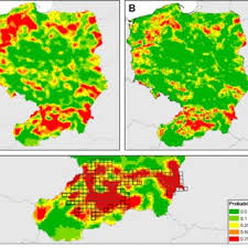 Here, you can see how europe looked. A Bear Habitat Predictions In Poland And Slovakia Estimated From The Download Scientific Diagram