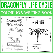 Free dragonfly life cycle coloring page. The Life Cycle Of A Dragonfly Coloring Book