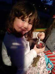 YOUR PHOTOS: 2017 Lakeland Christmas Parade