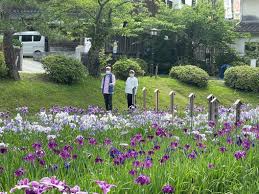 きれいな花を咲かせていました！ | 社会福祉法人ビタ・フェリーチェ