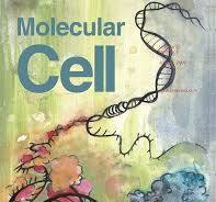Cover Illustration – Molecular Cell