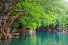 Lago Camecuaro Zamora Michoacan Mexico Lugares Hermosos Camecuaro Viajes En Mexico