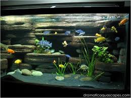 Diy Aquarium Background Rock Ledges Aquarium Backgrounds Cichlid Aquarium Aquarium