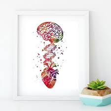 Medical Art Brain Heart Dna Watercolor Print Anatomy Art Etsy Medical Art Anatomy Art Medical Wallpaper