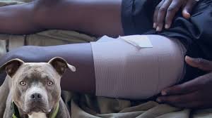 Familiares archivos | Página 7 de 10 | Noticias Telemicro