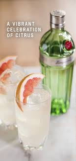 It S Tanqueray Time In 2020 Collins Recipe Mixed Drinks Recipes Recipes