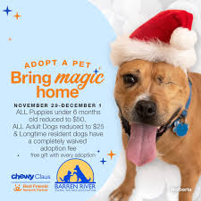 Bring Magic Home this Thanksgiving Weekend BRAWA will participate: Friday  11/29, 10