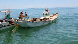 tides 4 fishing hernando beach about townsville