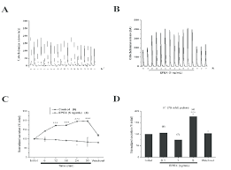 EPEX augmented the release of catecholamines from cells repeatedly...