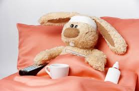 Gestes Urgence En Cas D Arret Du Transit Du Lapin