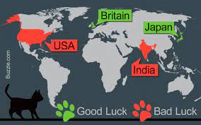 Superstitious Beliefs About Black Cat Beliefs Superstitious Black Cat