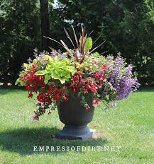 There are so many places to show off beautiful containers and colorful plants!. 8 Bold And Colorful Flower Pot Ideas Care Tips