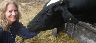 Livestock Health and Production | University of London