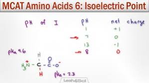 Isoelectric Point Of Amino Acids Tutorial Video With 3 Pka
