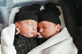 Feel free to post some updated photos of your babies... I would love to  make an ad with all the beautiful Ultimately Lazy babies .