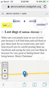 Bizarre Post Appears On Local Craigslist Pet Classifieds Ellwood City Pa News Stark state college akron offers flexible scheduling, including day and/or evening classes, as well as online opportunities. local craigslist pet classifieds