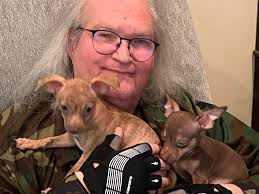 Help! New to this group but I have a 5 1/2 Mo old that loves to eat poo. We  are starting training next month but now my GS what's to eat poo.