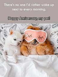 Maybe you would like to learn more about one of these? Funny Anniversary Cards Funny Happy Anniversary Greetings Birthday Greeting Cards By Davia Free Ecards