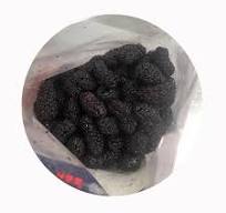 Mulberry Tea From Sichuan Healthy Dried Fruit Fresh Herbal Tea in Bag High  Quality