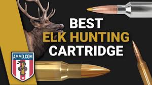 Best Elk Hunting Rifles Of 2024 | Outdoor Life