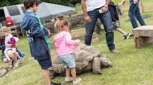 Image result for lincolnshire reporter