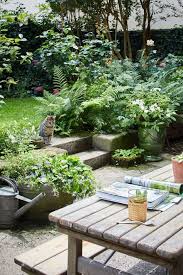 Schattengarten Mit Sonnigem Sitzplatz Bild 2 Schattengarten Pflanzen Schatten Und Gartendesign Ideen