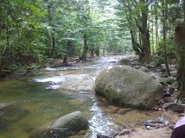 Air terjun ini sesuai bagi seluruh keluarga. Malaysia Mytrip Sungai Tua Hulu Yam Selangor