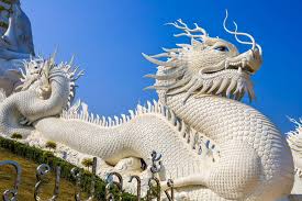 7.the use of attachments not recommended or sold by kitchenaid may cause fire, electrical shock or injury. Genus Dragon The Flight Of The Golden Serpent Watch I Love