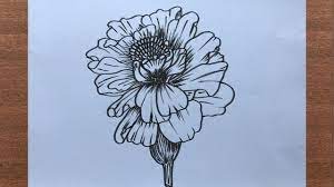 Marigold calendula is an extremely effective herb for the treatment of skin how to draw a realistic marigold flower easy and simple sayataru creation first draw the center of. How To Draw A Marigold Flower Youtube