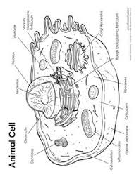 We did not find results for: 92 Biology 1 Ideas Homeschool Science Teaching Science Science Lessons
