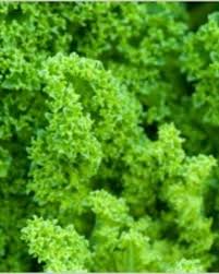 Collection by the esl nexus: 100 Hangaroo Answers Hubpages