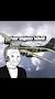 Video for Mathias Gößling How do airplanes affect the environment