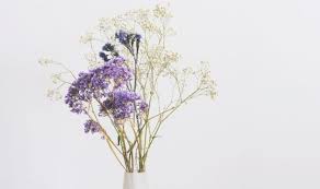 Check spelling or type a new query. How Long Do Dried Flowers Last Express Co Uk