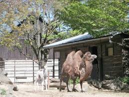 18,539 likes · 1,552 talking about this. Olomouc Zoo Picture Of Olomouc Zoo Olomouc Tripadvisor