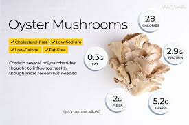 the health benefits of oyster mushrooms