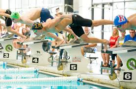 Tigers' swim and dive teams finish season at state
