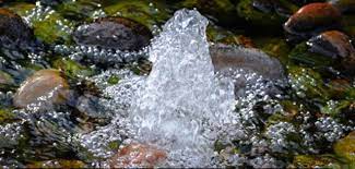 146 air mata air mata merupakan salah satu proteksi mata atau daya pertahanan mata di samping tulang rongga mata, alis dan bulu mata, kelopak mata, refleks mengedip dan adanya. Demo Kudus Pengusaha Air Pegunungan Tuntut Kemudahan Izin Solopos Com