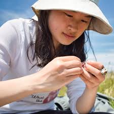 MSc Integrative Biology