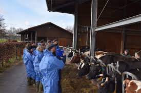 Wenden sie sich bitte an haus riswick. Fruchtbarkeitsservice Auf Dem Okobetrieb Haus Riswick Landwirtschaftskammer Nordrhein Westfalen