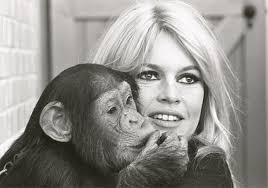 Изучайте релизы brigitte bardot на discogs. Brigitte Bardot Tells Air France To Stop Transporting Monkeys For Experiments Cruelty Free International