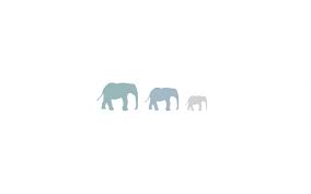 Pin By Nutchapa Apaipakdee On Wallpapers Elephant Wallpaper Wallpaper Elephant