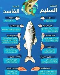 ماسب ظهور خط احمر على البطن. Ø§Ù„Ø¹Ù„Ø§Ø¬ Ø¨Ø§Ù„Ø·Ø¨ Ø§Ù„Ù†Ø¨ÙˆÙŠ Posts Facebook