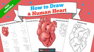 Print out sheet of the human heart with labels. Facebook