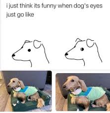 Image result for Recreation Pets Dogs Humor