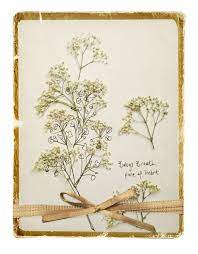Babys Breath For Pure Of Heart An Illustration By Katy Hackney Elisi Fikirleri Fikirler
