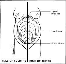 Ans) fundal height is generally defined as the distance from the pubic bone to the top of the uterus measured in centimeters. Measurement Of Fundal Height Journal Of Obstetric Gynecologic Neonatal Nursing