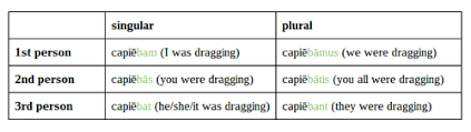 Relative clauses in latin refer to clauses introduced by relative pronouns or relative adverbs. Welcome To The Ditch Upper Level Grammar Relative Clauses Of Purpose
