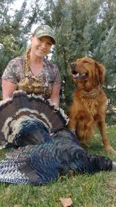 Watch our video on golden retriever. Lish Kennels Golden Retrievers For Hunting And Home